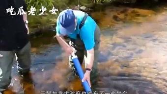 娱乐吃瓜老少女是谁